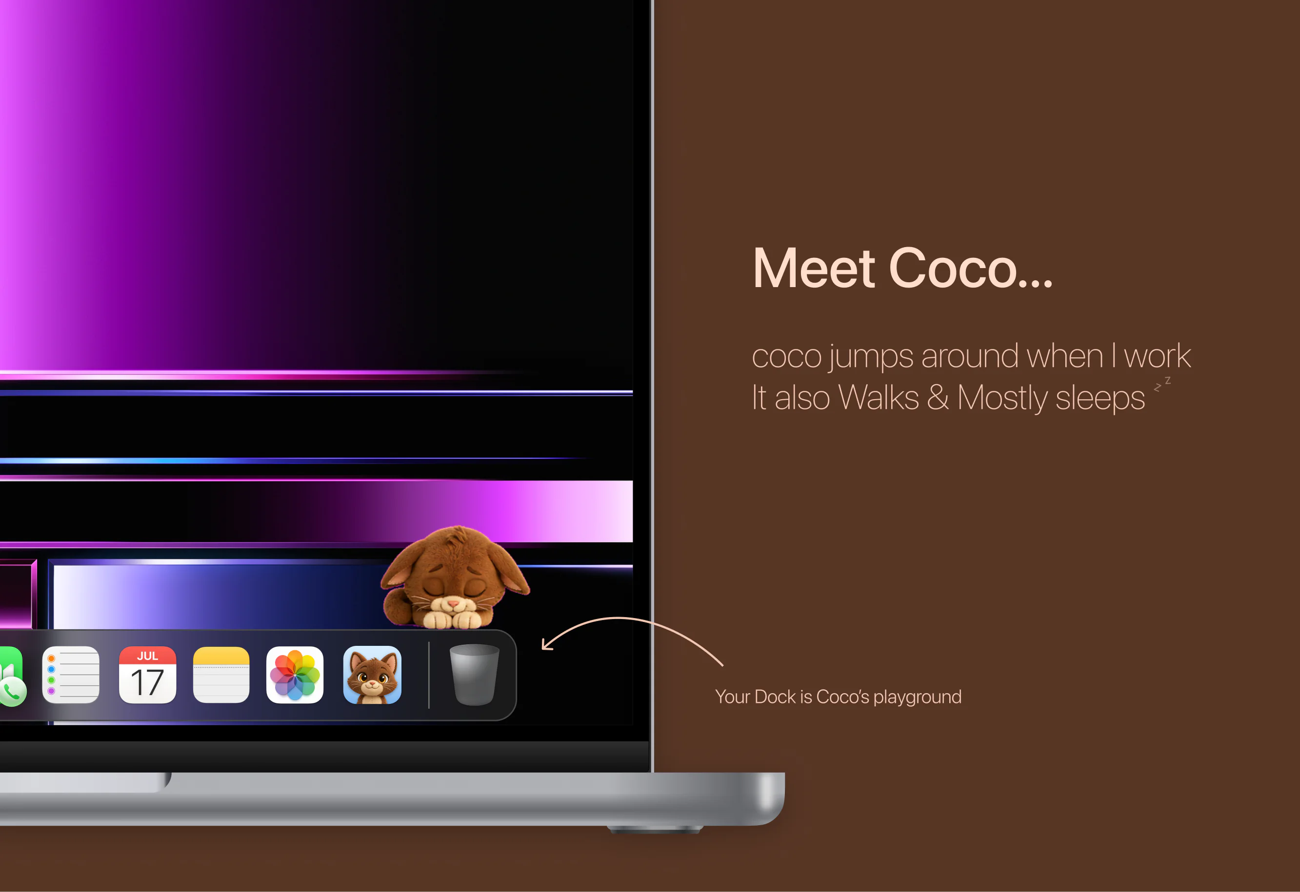 Coco — a cat sleeping on the macOS Dock